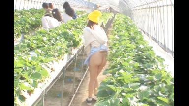 ♥いちご農園の看板娘はノーパンエプロンでご案内…♥潮吹きお漏らししちゃう少女の愛液トロトロまんこにチンポが…のthumbnail