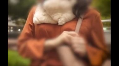 ！Ｈだよね素人＿中出し！ナンパで性欲が溢れて…不倫で勃起しようよHだよね「あぁぁぁあっあ！」☆スレンダー☆のthumbnail