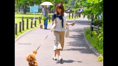 【人妻レイプ】「許してくださいぃい!」散歩中の美熟女を淫乱調教でメス堕ち♡膣奥ピストンでアヘ顔晒して理性崩壊痙攣絶頂!のthumbnail